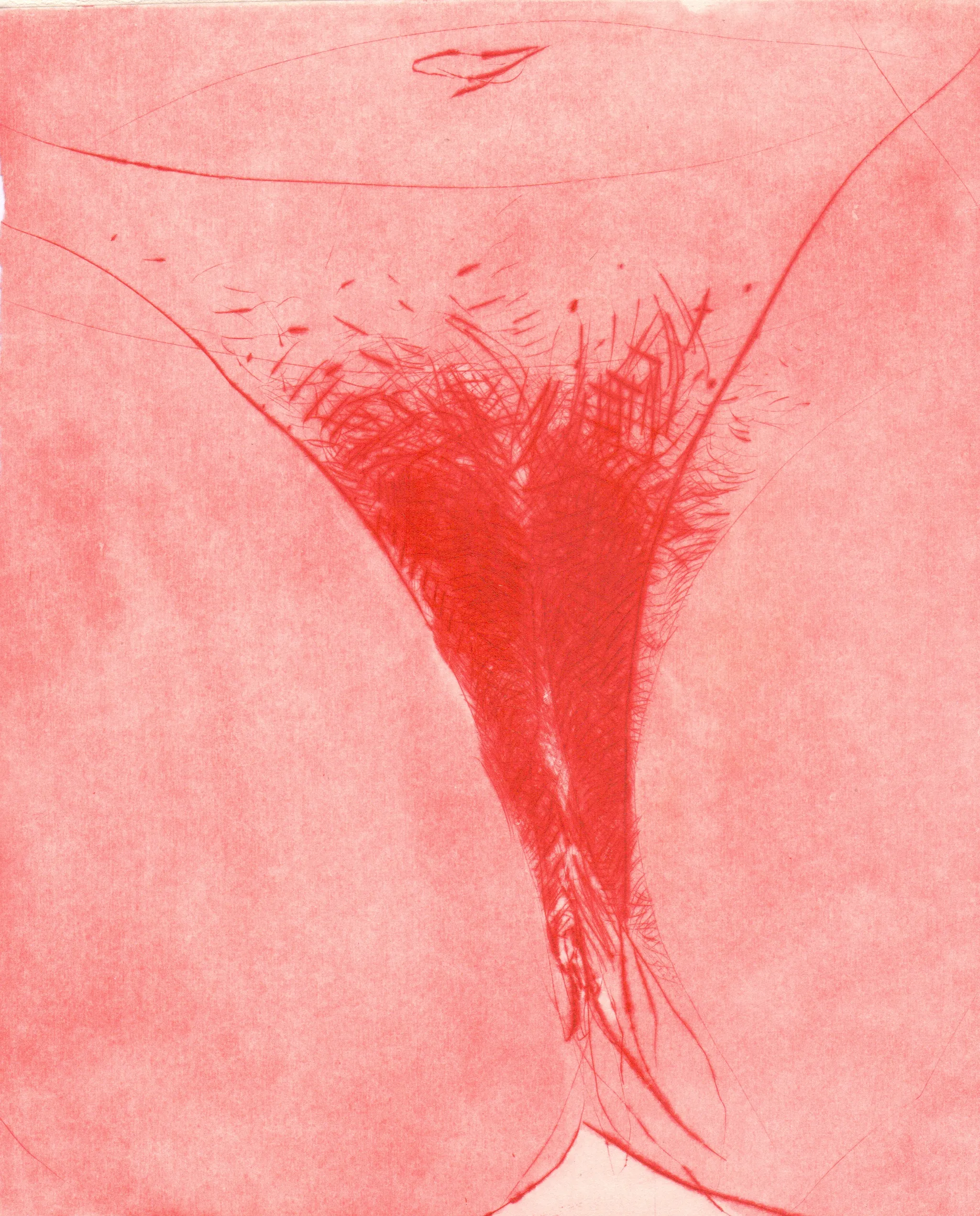 Linhas de Sangue