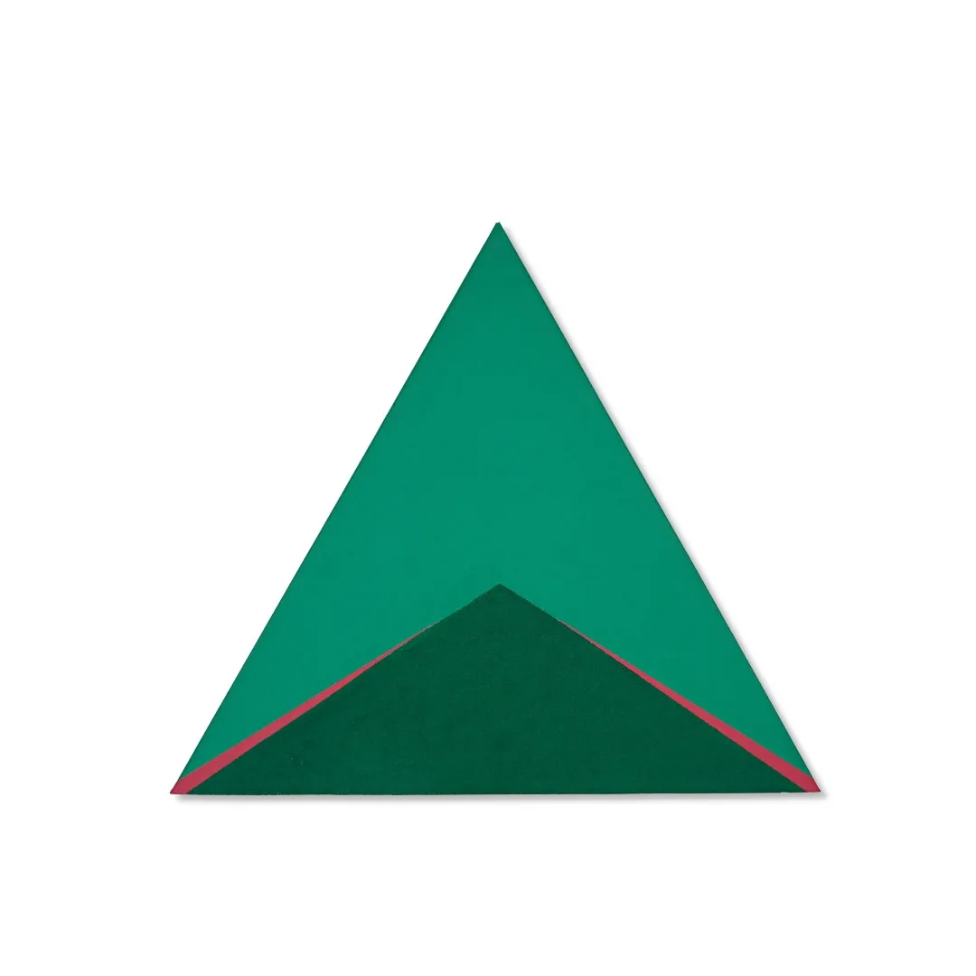 Nº20