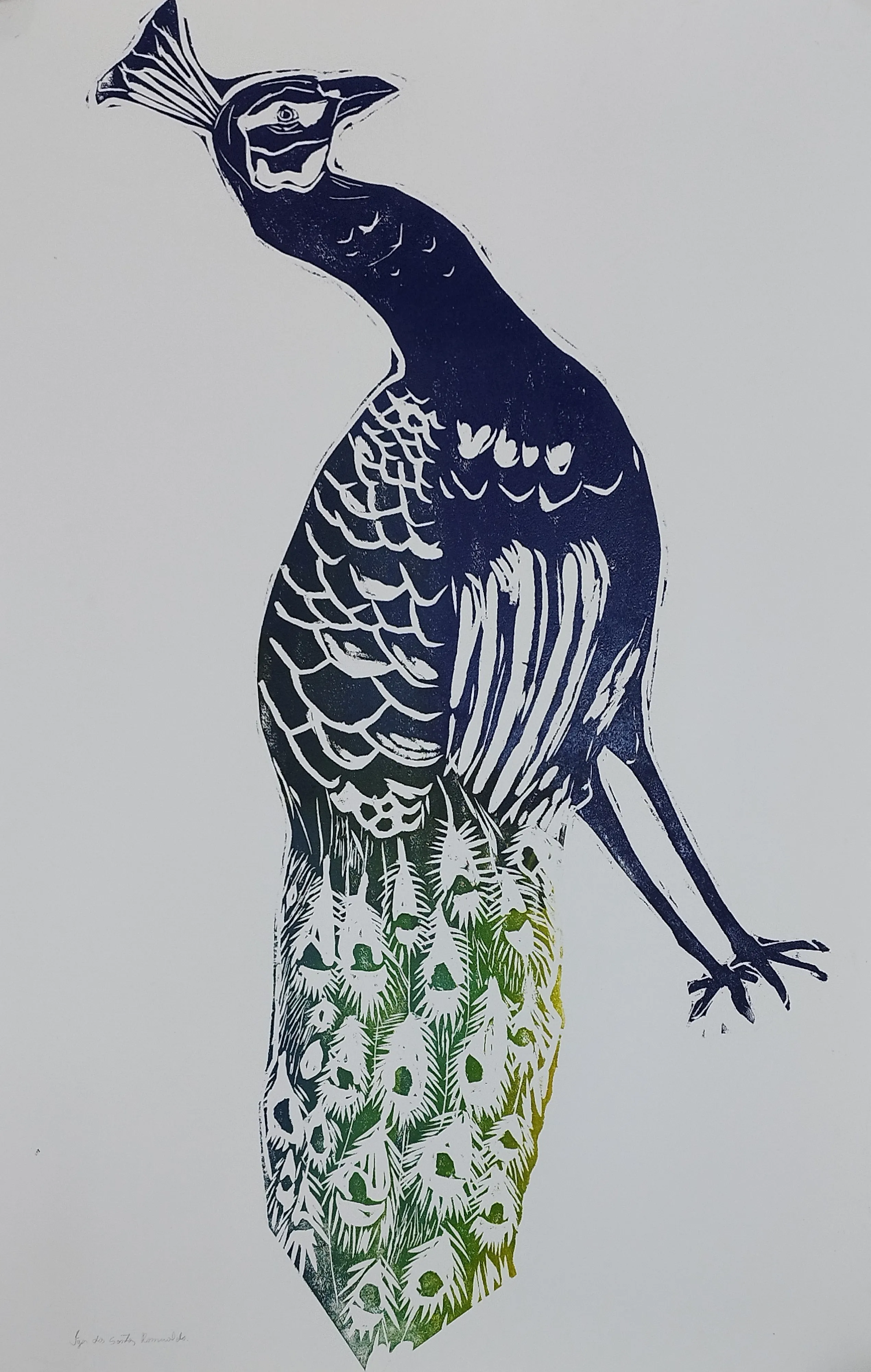 Pavão | Xilogravura
