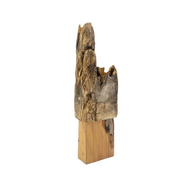 Afonso Tostes - Sem título - Escultura - madeira - 62 x 19 x 10 cm.
