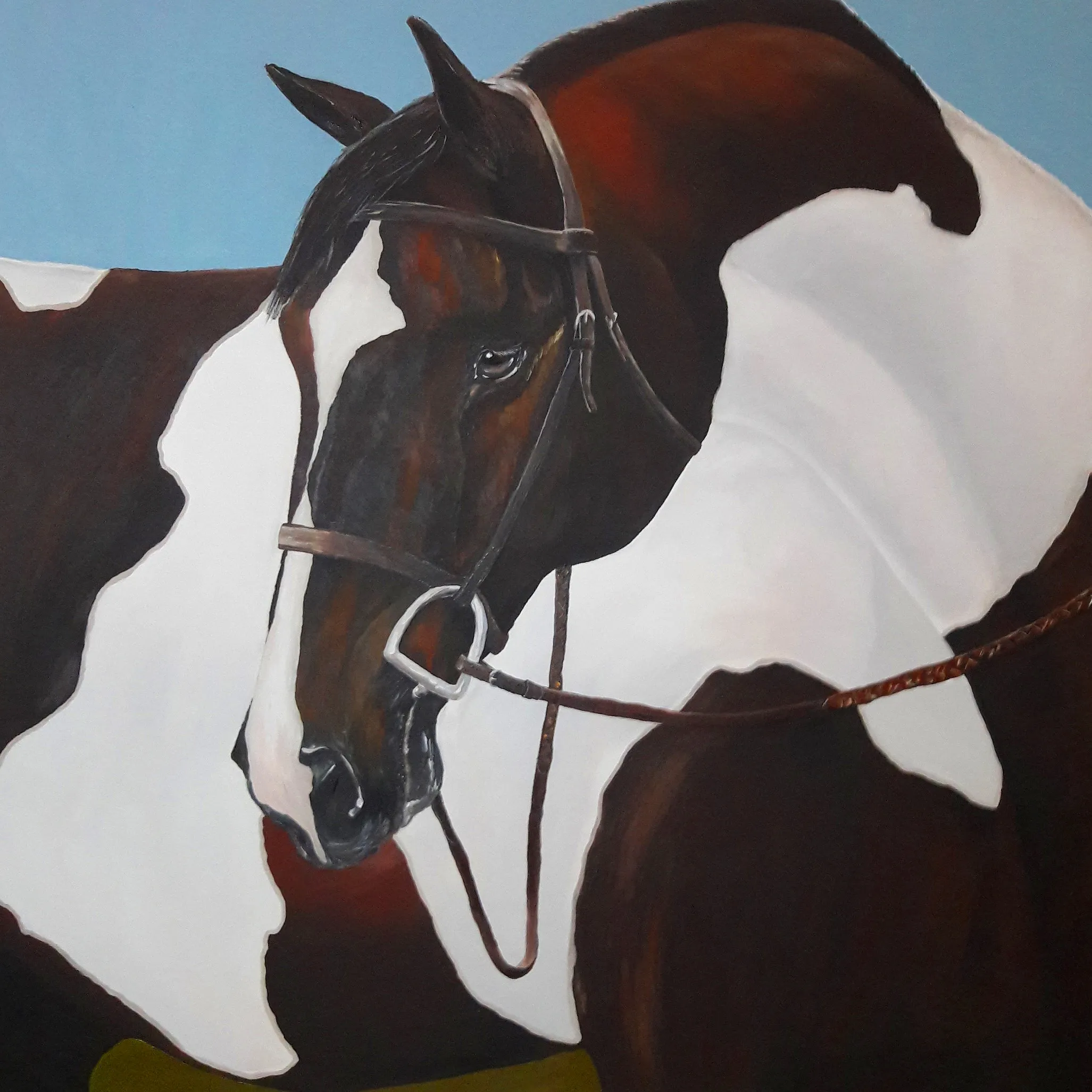 Cavalo Pampa