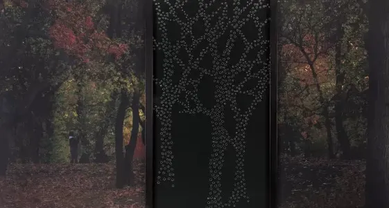 O Jardim e o Lobo
