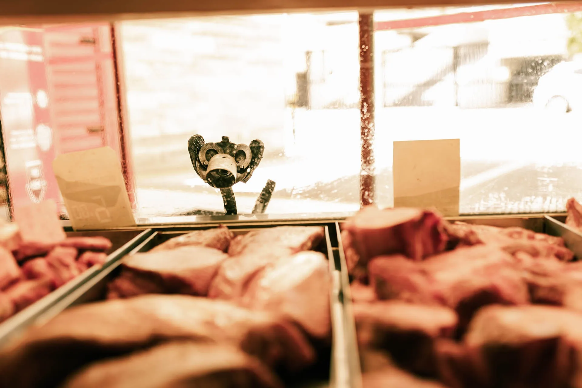 Metalmorfose - Em Carne e Metal 