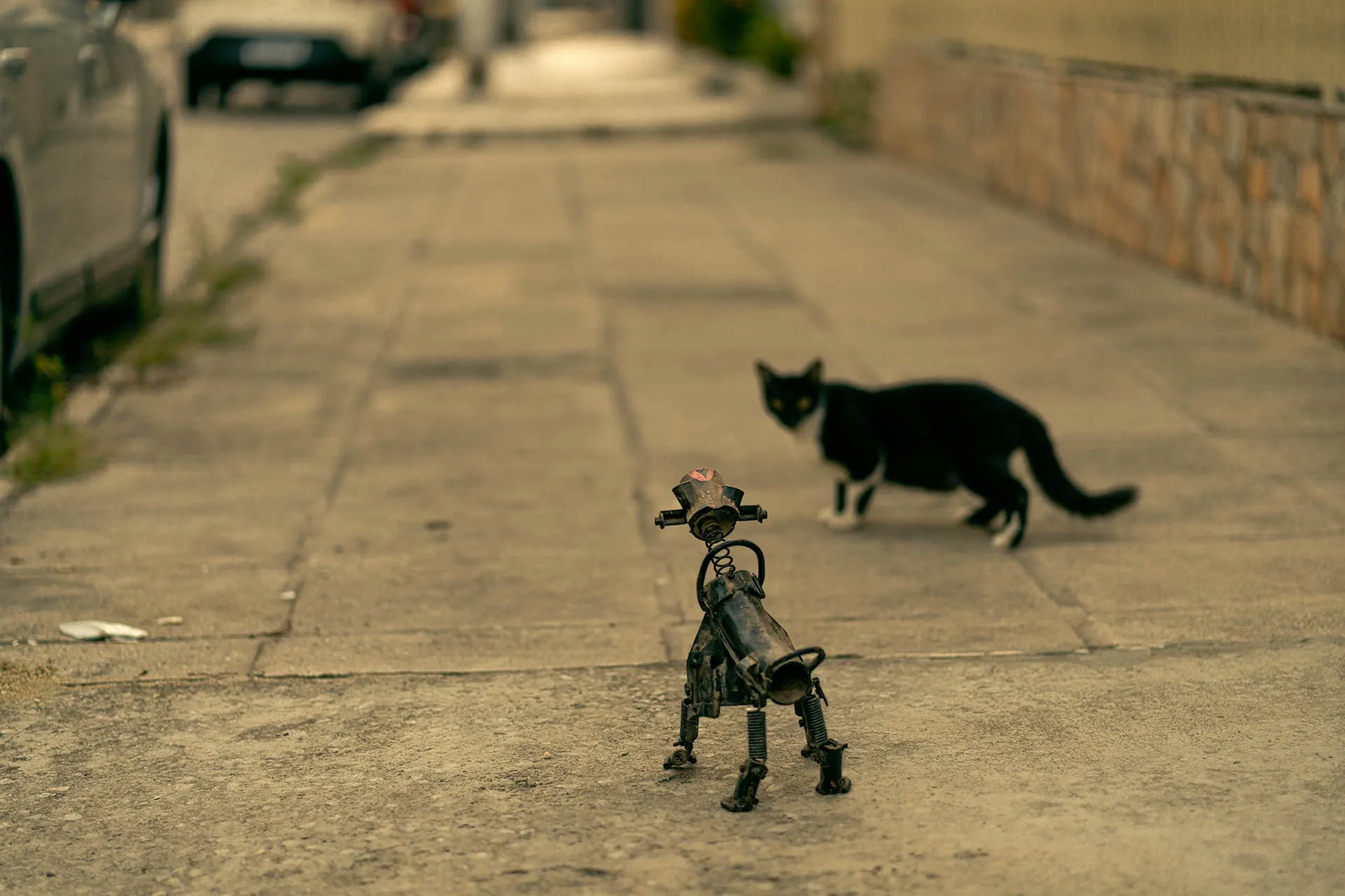 Metalmorfose - Feito Cao e Gato