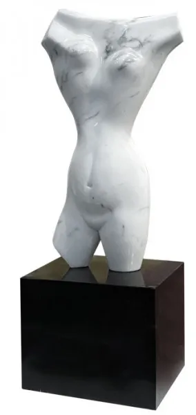 Torso