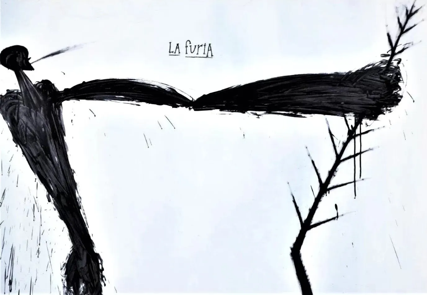 La Fúria