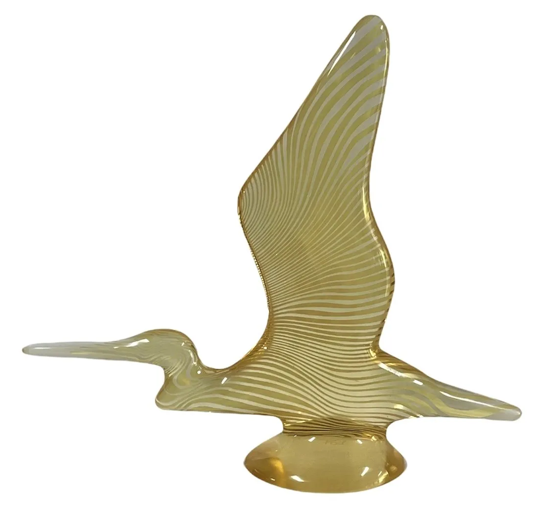 Albatroz
