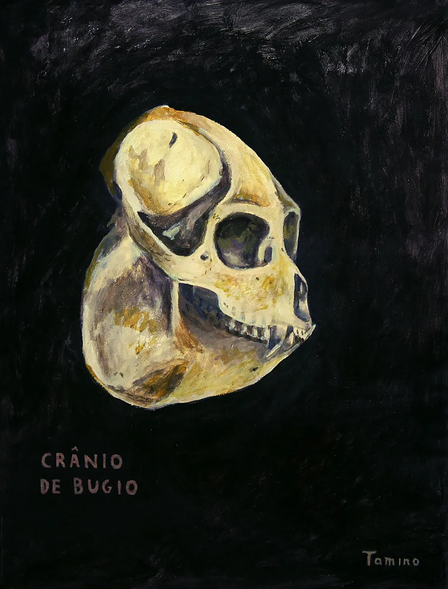 Bugio