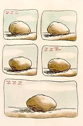  Uma estória da pedra