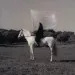 Marina Abramovic - THE HERO - 2022 - Impressão lenticular - 21 x 21 cm.(1)