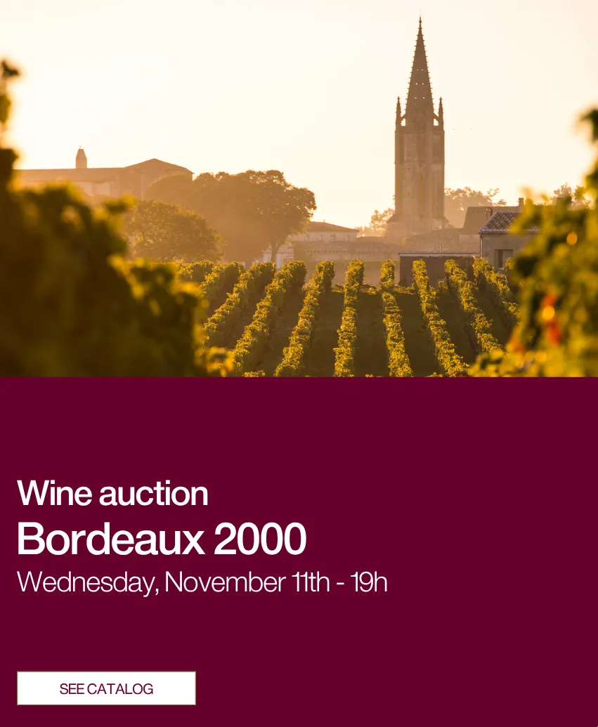 Cat Bordeaux